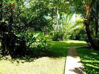 Teahupoo Bonjouir Lodge Paradise מראה חיצוני תמונה